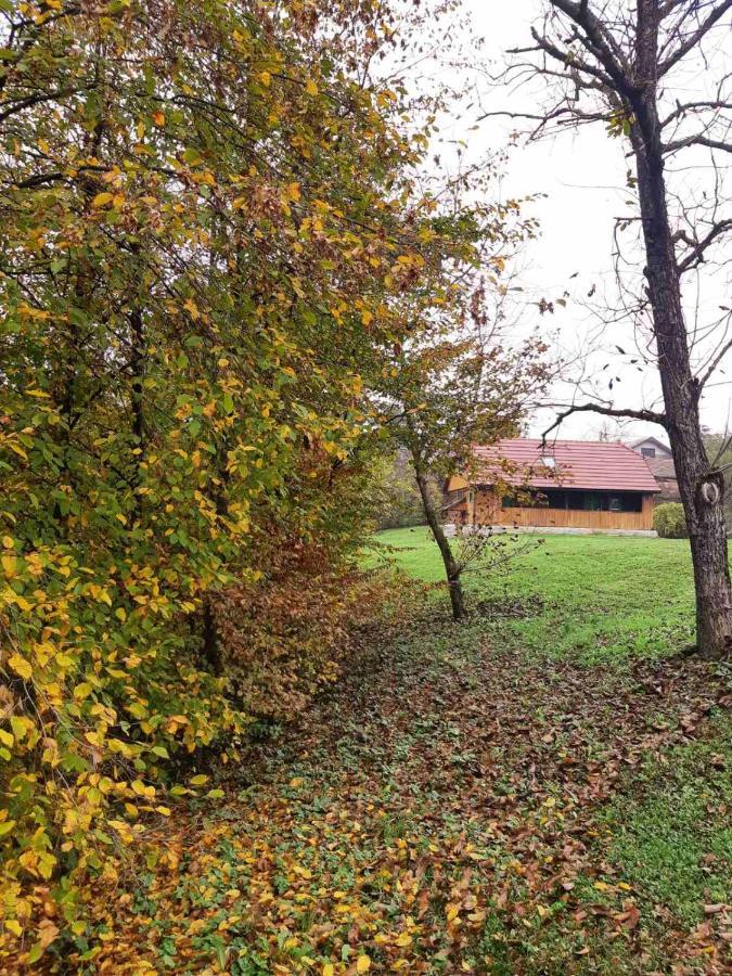 Bakina Iza Villa Duga Resa Eksteriør bilde