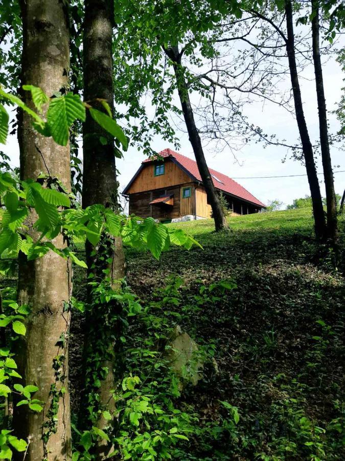 Bakina Iza Villa Duga Resa Eksteriør bilde